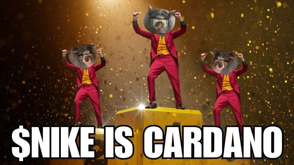 $NIKE IS CARDANO.jpg