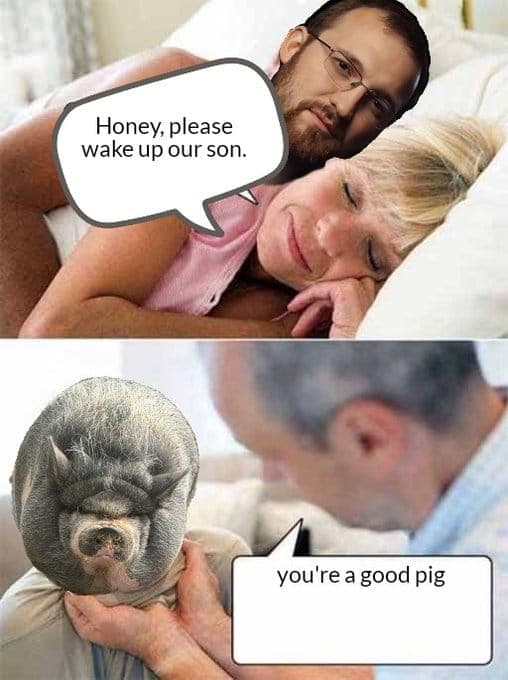 goodpigson.jpg