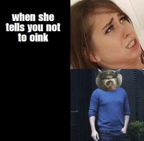 oinkme.jpg