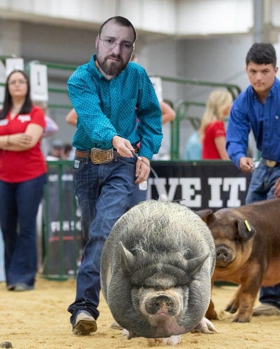 pigwalk.jpg